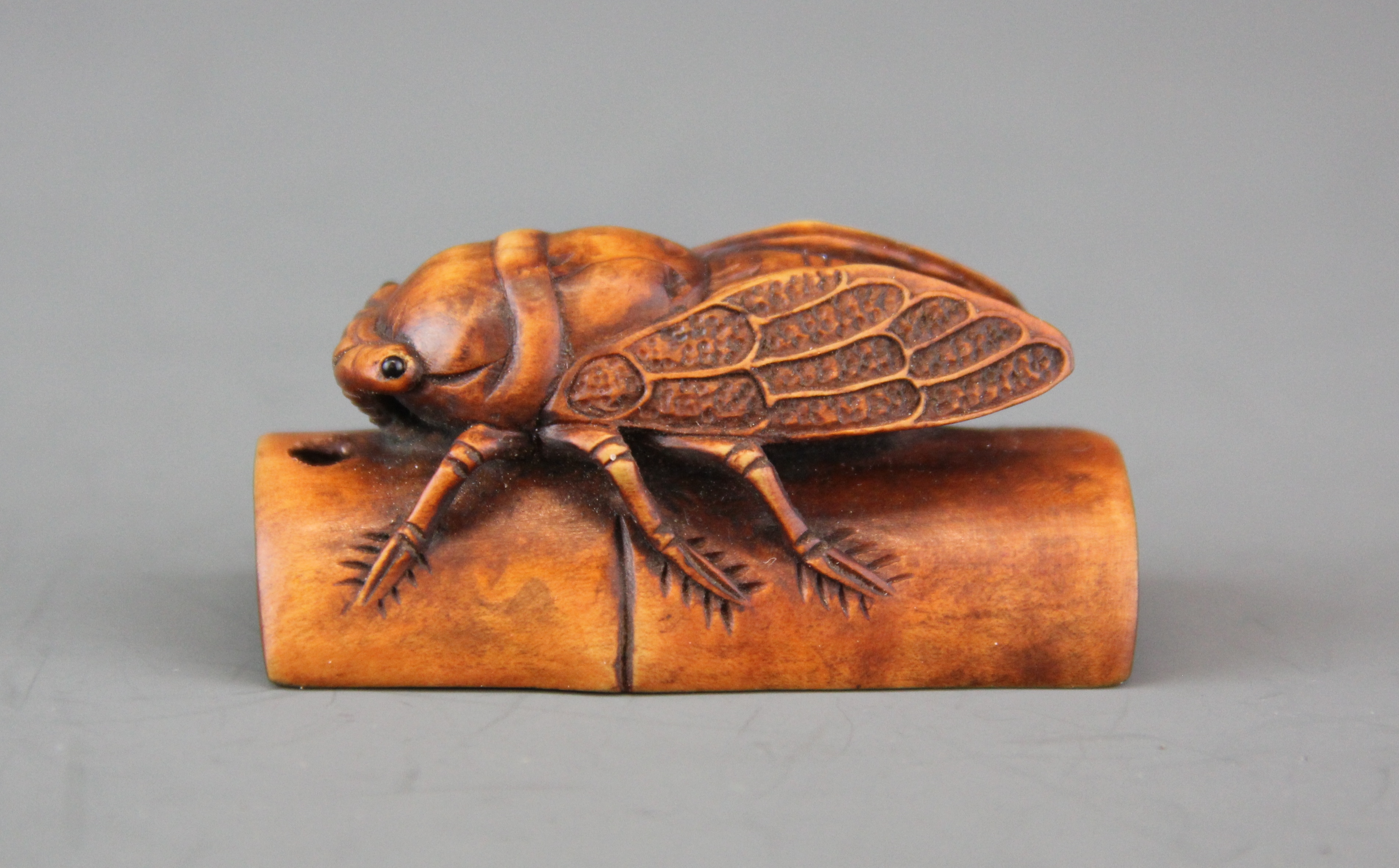 A signed carved fruitwood Netsuke of a cicada on a stem of bamboo with polished black onyx eyes,