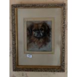 A gilt framed pastel of a dog by Truda Hope, dated 1925, frame size 41 x 54cm.