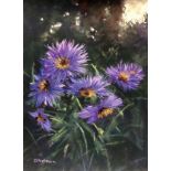 Kim Eshelman, "Sleepy asters", unframed pastel, 22 x 30cm, c. 2020. Fable has it that asters hold