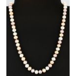 A pretty single row necklace of mixed colour cultured pearls (7.5mm), necklace L. 42cm.