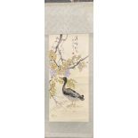 A 1960's Chinese watercolour scroll painting of a duck with blossom mounted with silk border, scroll