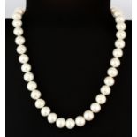 An impressive single row necklace of large (10.5mm) cultured pearls, necklace L. 43cm.