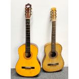 A cased Hohner acoustic guitar, together with a KC 110 acoustic guitar.