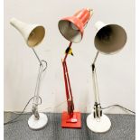 Three vintage anglepoise lamps.