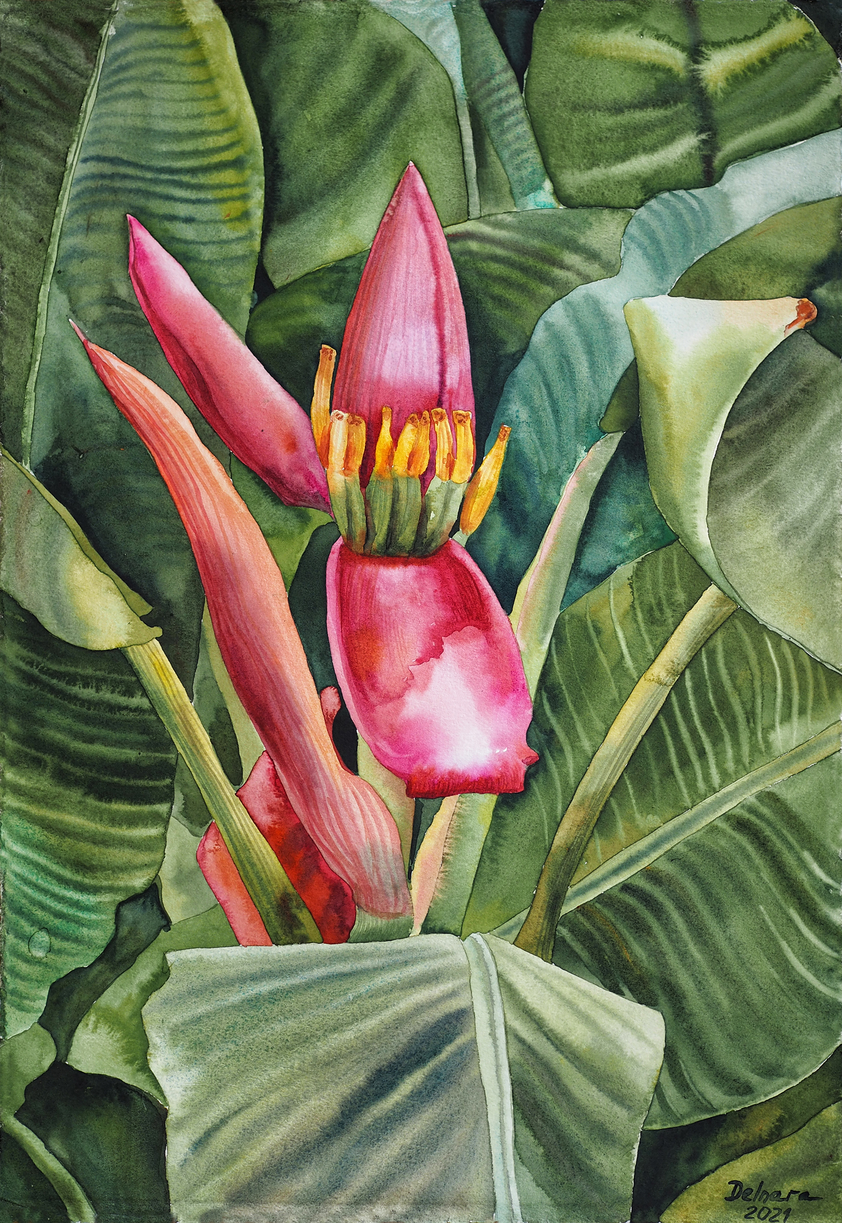 Delnara El, "Banana blossom", watercolour on paper, 40 x 58cm, c. 2021. I have traveled a lot to