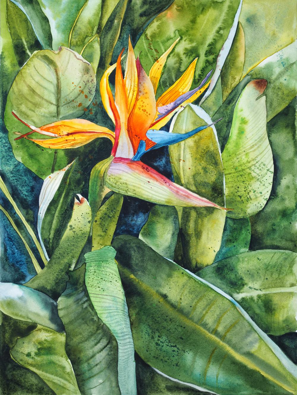 Delnara El, "Tropical strelitzia", watercolour on paper, 30 x 40cm, c. 2021. I have traveled a lot