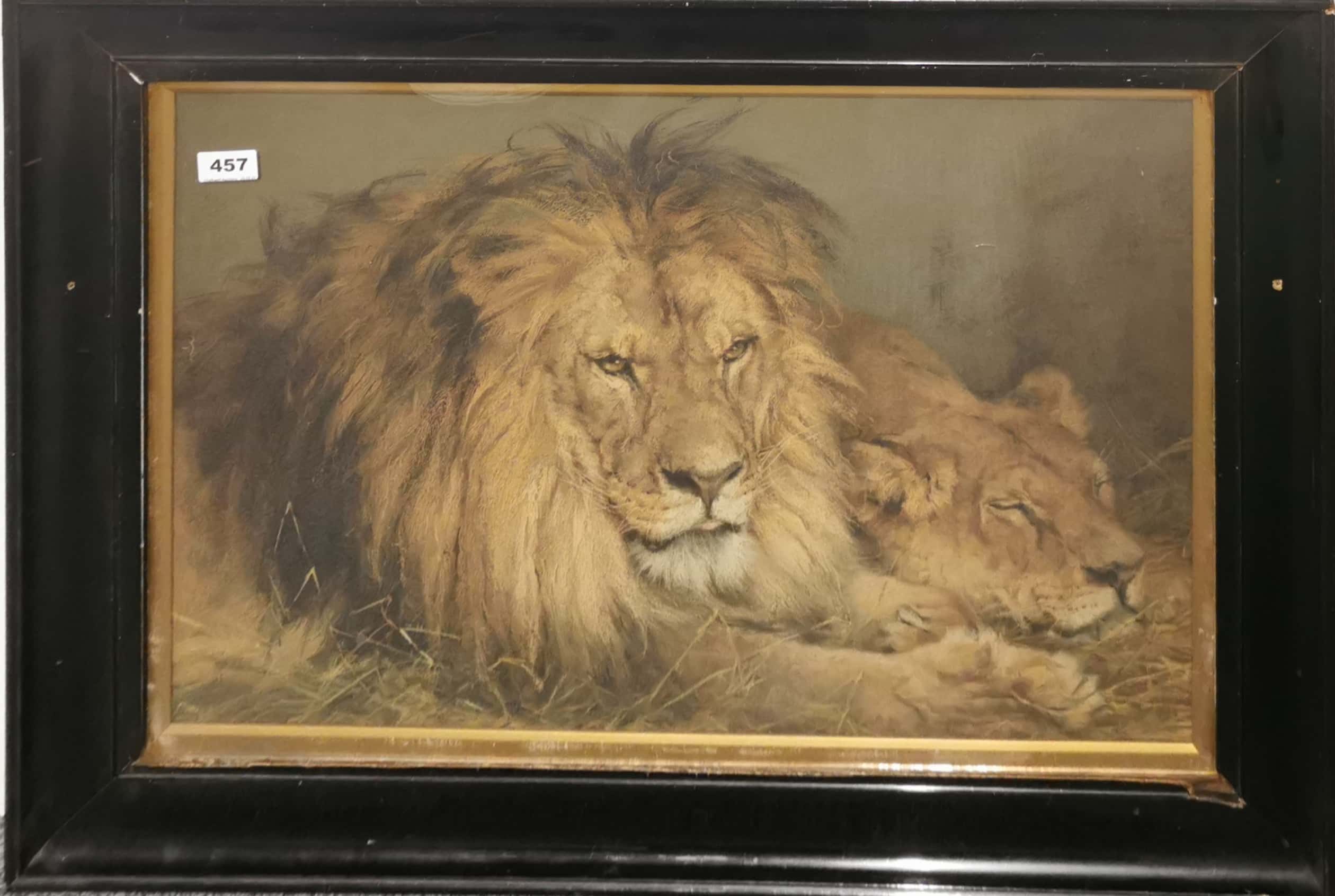 A large framed Victorian print of two lions, frame size 63 x 84cm.