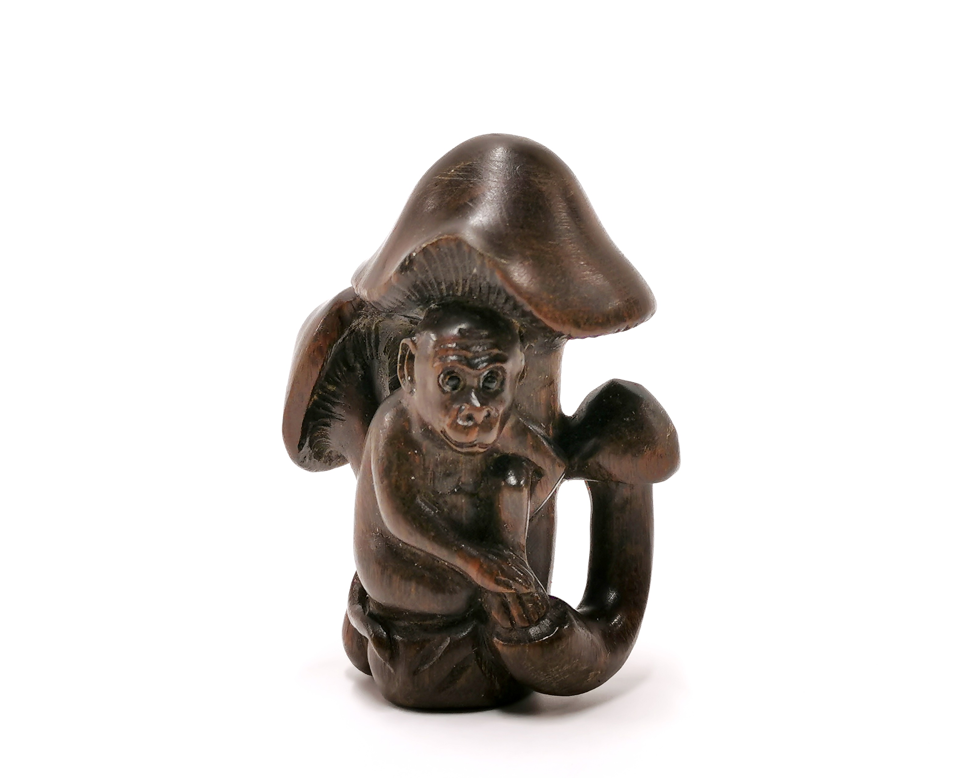 A carved fruitwood Netsuke of a monkey sitting beneath a mushroom with black obsidian eyes.