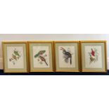 A gilt framed set of ten prints depicting exotic birds, frame size 46 x 57cm.