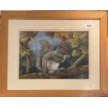 An oak framed watercolour of a squirrel signed H.S.Brown, framed size 56 x 46cm.