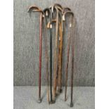 A group of nine mostly silver mounted walking sticks.