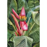 Delnara, "Banana blossom", watercolour, 38 x 56cm, c. 2021. I have traveled a lot to tropical