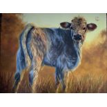 Stephanie Caeiro, "Calf on sunset", oil on linen, 60 x 70cm, c. 2022. This is a painting of a