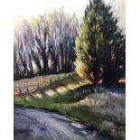 Laurie Basham, "Phelps Farm Walk", soft pastel, 23 x 32cm, c. 2021. Pastel painting of a large