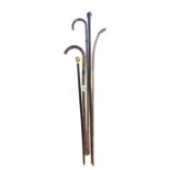 A group of walking sticks (two silver mounted).