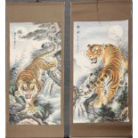 Two Chinese watercolours mounted on scrolls of tigers, W. 72cm.