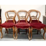 A set of six 19th century mahogany balloon back dining chairs.