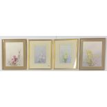 Hilary Scoffield (British 1958-2007): Four signed, framed watercolours of flowers, frame size 31 x