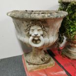 An antique concrete garden urn with mock lion ring decoration, Dia. 55cm, H. 56cm.