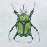 Laura Gomperz, "African Green Flower Beetle", oil on canvas, 30 x 30cm, c. 2020. This member of