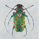 Laura Gomperz, "Green and Orange Beetle", oil on canvas, 30 x 30cm, c. 2020. This 2cm long beetle is