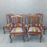 A set of six mahogany ball and claw foot Chippendale style dining chairs including two carvers.