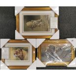 Three gilt framed, signed limited edition prints by Stephen Gayford of Big Cats, largest frame