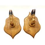 A pair of oak shield and deer hoof wall mounted snooker cue rests, H. 36cm.