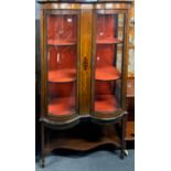 An unusual Edwardian double bow front inlaid display cabinet, 102 x 176cm.