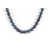 A 14ct white gold (stamped 585) black pearl necklace with a sapphire and diamond set gold clasp,