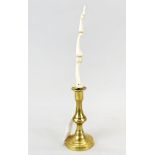 Taxidermy interest: A genuine human finger bone on a brass plinth, comprising the distal phalange,