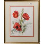 A gilt framed watercolour of goliath poppies by Diana Over, frame size 57 x 69cm.