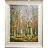 David Meade F.C.I.A.D R.A (British): A large 1970's framed oil on canvas of a woodland scene