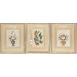 Three 19th century Chinese framed watercolours on pith (rice) paper of flowers and insects, frame