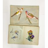 An autograph album of sketches by J Stanley with a watercolour by the same artist.