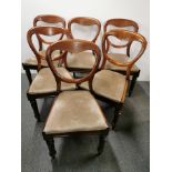 A set of six Victorian mahogany balloon back dining chairs.