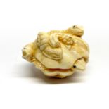 A signed carved bone figure of frogs in a shell with obsidian eyes, W. 5cm.