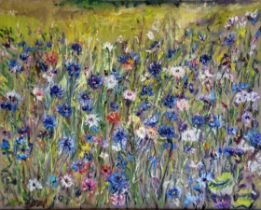 Myrna Higgins, "A field of Cornflowers", oil on canvas, 40 x 50cm, c. 2022. Vivid blue, pink, white,