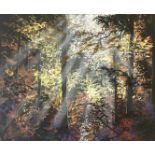 Elahe Jalili, "Light in the forest", acrylic on canvas, 50 x 60cm, c. 2021. This painting comes from