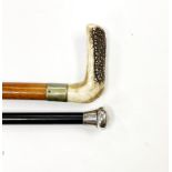 A hallmarked silver topped walking cane and a horn handled walking stick.