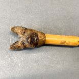 A lovely early 20th century carved wooden dog head handle umbrella by Swaine & Adeney Ltd London, L.