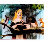Mary Costa signed Sleeping Beauty animated 10x8 colour photo. Mary Costa (born April 5, 1930) is