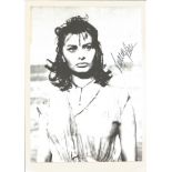 Actress Sophia Loren signed 10x8 black and white image glued onto card. Sofia Costanza Brigida