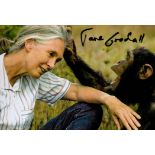 Dame Jane Goodall signed 6x4 colour photo. Dame Jane Morris Goodall DBE ( born Valerie Jane Morris-