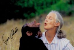 Dame Jane Goodall signed 6x4 colour photo. Dame Jane Morris Goodall DBE ( born Valerie Jane Morris-