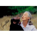 Dame Jane Goodall signed 6x4 colour photo. Dame Jane Morris Goodall DBE ( born Valerie Jane Morris-