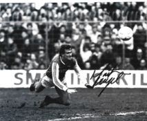 Football. Martin Hayes Signed 12x8 Colour photo. Good condition. All autographs come with a