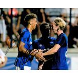 Everton FC Pair Davies and Calvert-Lewin Hand signed 10x8 Colour Photo showing the pair