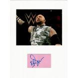 Bubba Ray Dudley WWE 16X12 overall mounted signature piece includes signed album page and colour