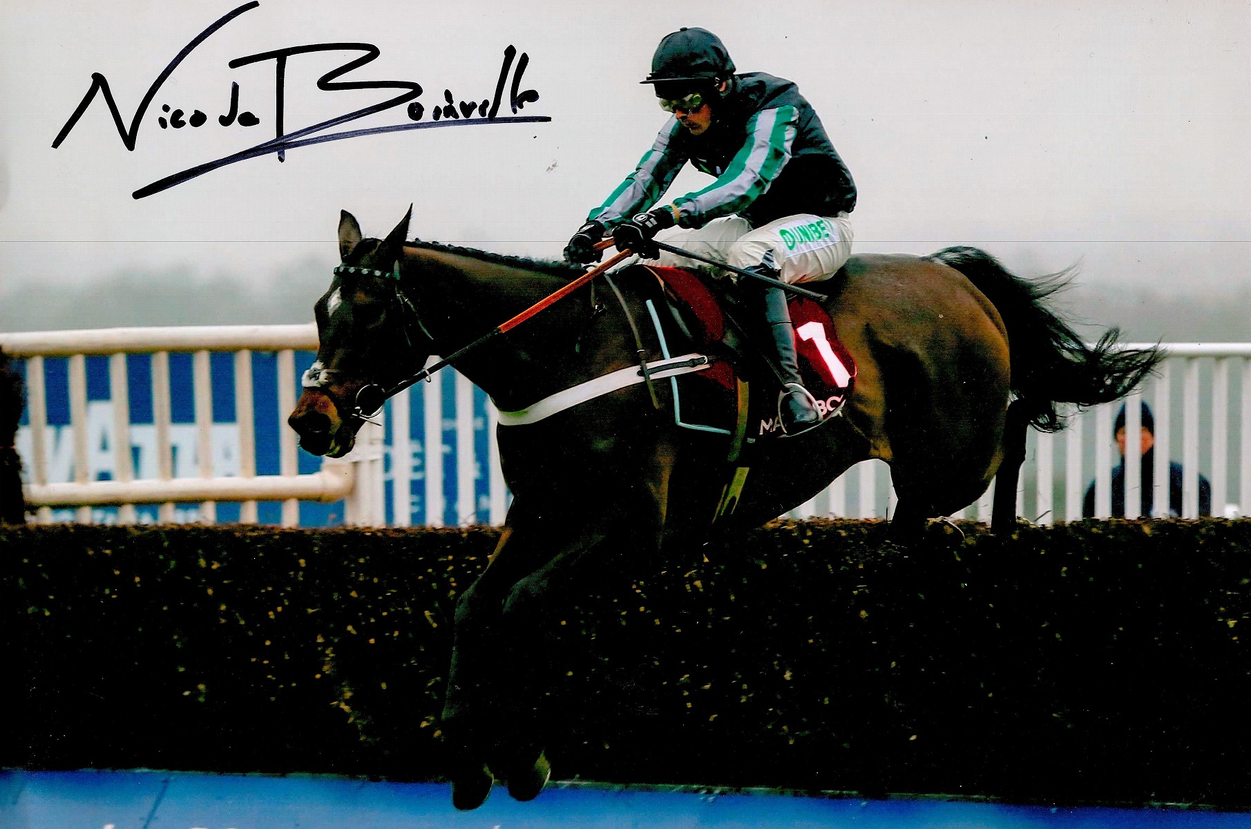 Jockey Nico De Bonneville Hand signed 10x8 Colour Photo showing Bonneville on his horse in the